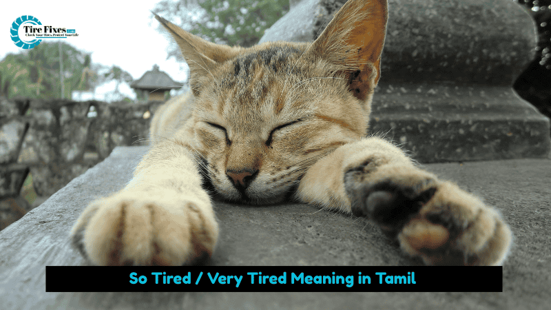 So Tired / Very Tired Meaning in Tamil